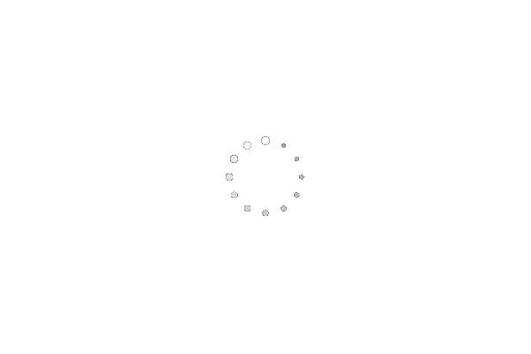 loading.gif<br class=