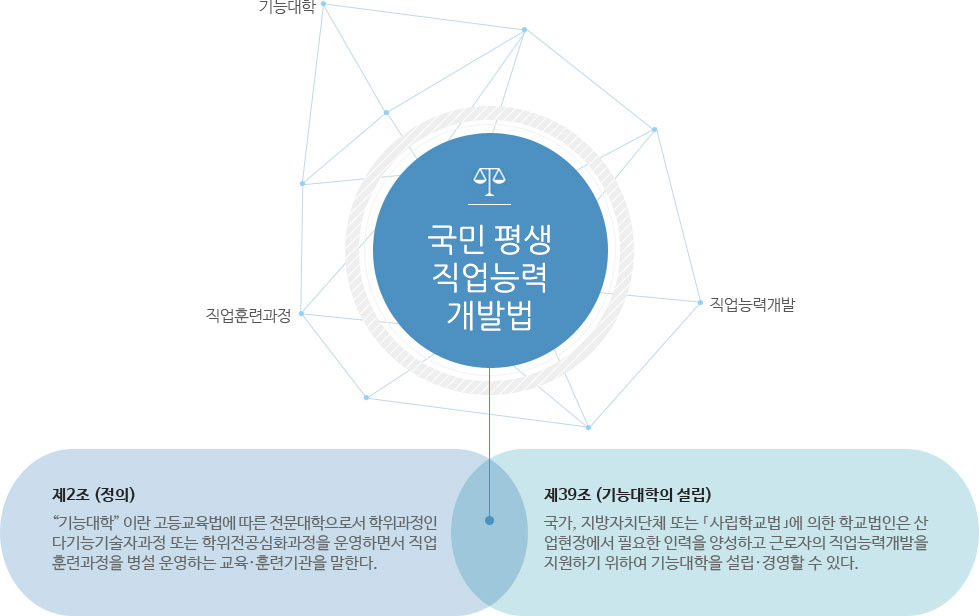 국민 평생 직업능력 개발법 : 기능대학,직업능력개발,직업훈련과정 
제2조 (정의) “기능대학” 이란 고등교육법에 따른 전문대학으로서 학위과정인 다기능기술자과정 또는 학위전공심화과정을 운영하면서 직업훈련과정을 병설 운영하는 교육·훈련기관을 말한다. 
제39조 (기능대학의 설립) 국가, 지방자치단체 또는 `사립학교법`에 의한 학교법인은 산업현장에서 필요한 인력을 양성하고 근로자의 직업능력개발을 지원하기 위하여 기능대학을 설립·경영할 수 있다.