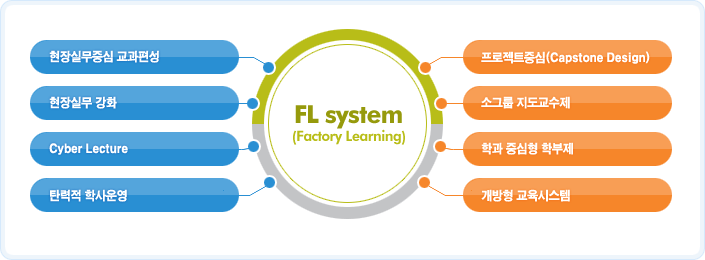 FL system(Factory Learning)  - 현장실무중심교과편성,현장실무강화,Cyber Lecture,탄력적 학사운영, 프로젝트중심(Capstone Design),소그룹지도교수제,학과 중심형 학부제,개방형교육시스템