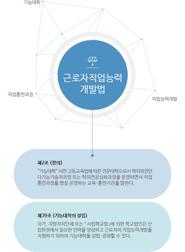 국민 평생 직업능력 개발법 : 기능대학,직업능력개발,직업훈련과정 
제2조 (정의) “기능대학” 이란 고등교육법에 따른 전문대학으로서 학위과정인 다기능기술자과정 또는 학위전공심화과정을 운영하면서 직업훈련과정을 병설 운영하는 교육·훈련기관을 말한다. 
제39조 (기능대학의 설립) 국가, 지방자치단체 또는 `사립학교법`에 의한 학교법인은 산업현장에서 필요한 인력을 양성하고 근로자의 직업능력개발을 지원하기 위하여 기능대학을 설립·경영할 수 있다.