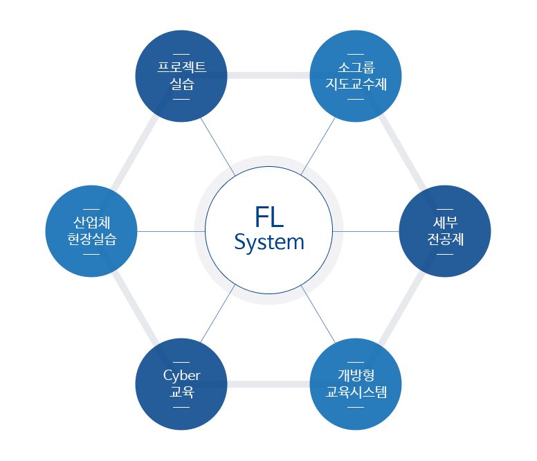 Fl System : 프로젝트 실습, 소그룹 지도교수제, 세부전공제, 개방형 교육시스템, Cyber교육, 산업현장실습